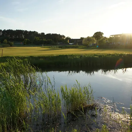 Rita Usedom Daire
